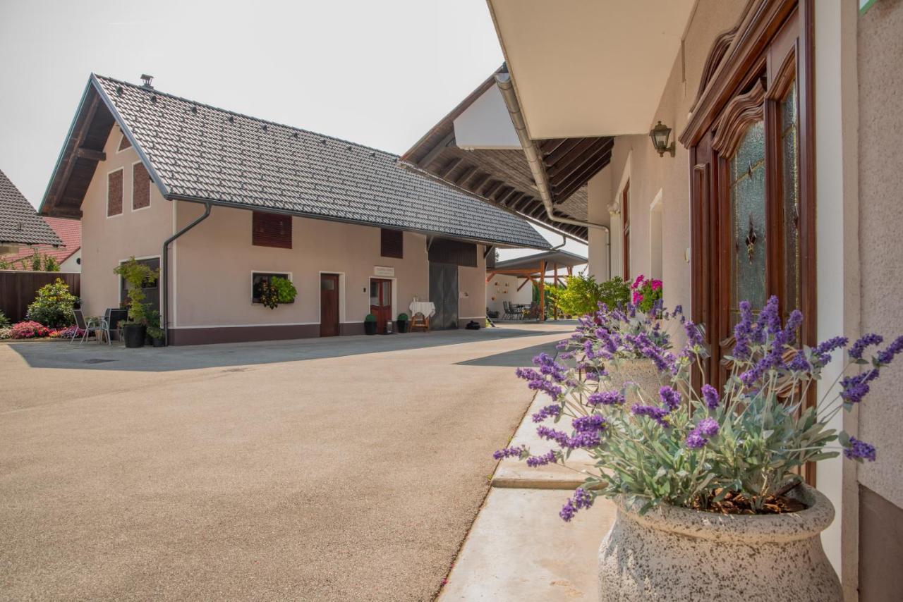 Rooms & Apartments Kepic, Airport Accomodation Cerklje na Gorenjskem Ngoại thất bức ảnh